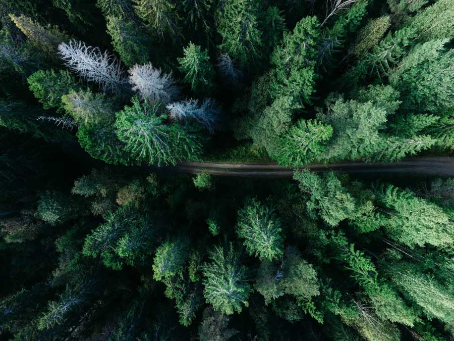 Präzise Hörgeräteeinstellung für natürliche Klangtreue mit audiosus